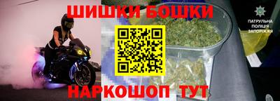 индика Лесосибирск