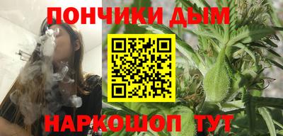 индика Лесосибирск