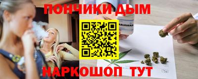 индика Лесосибирск