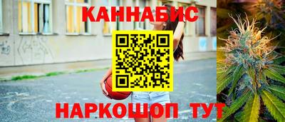 индика Лесосибирск